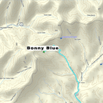 1930 Census – Dad living in Bonny Blue, Virginia